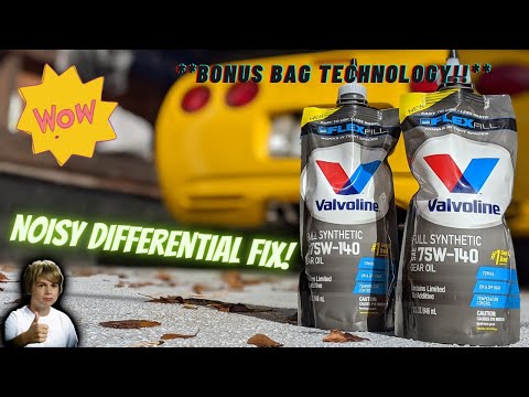 TIRED OF YOUR NOISY REAR END? THIS MAY BE THE EASIEST FIX EVER.. BONUS BAG TECHNOLOGY REVIEW.