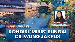 Warga Keluhkan Sungai Ciliwung Menteng Jakpus Penuh Sampah & Semak Belukar, Jadi Sarang Nyamuk