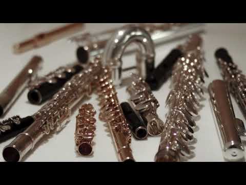 @ionbogdanstefanescu  Carmen Maria Cârneci - ...une main immense