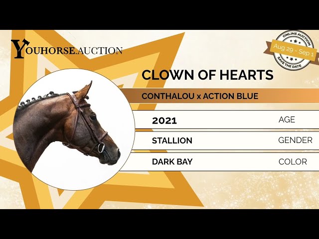 Clown of Hearts