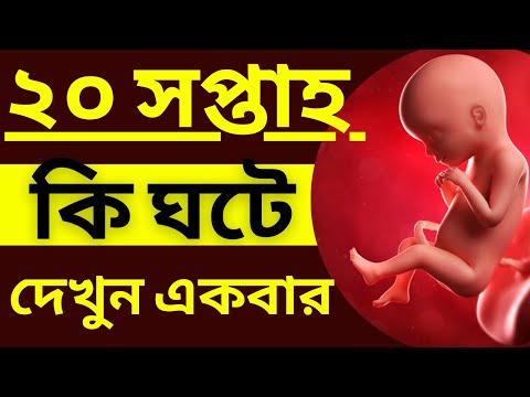 সপ্তাহ অনুযায়ী গর্ভাবস্থা ২০ সপ্তাহ | soptaho onujayi gorvabostha 20 | 20 week pregnancy in bangla