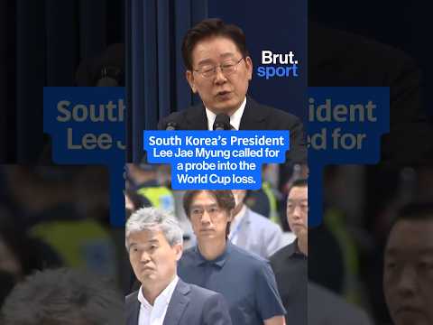 한국 축구대표팀 월드컵 성적 부진으로 감독 사퇴 현장 반응