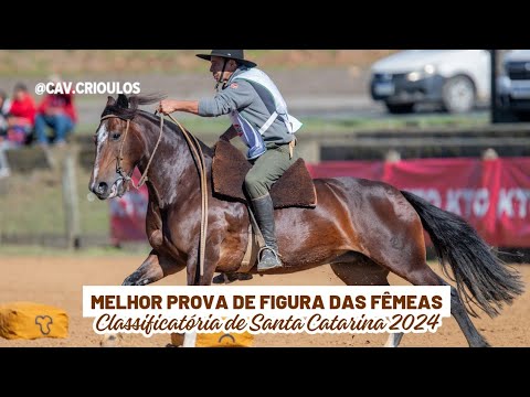 Uma Bala do Recanto Crioulo • Melhor Prova de Figura das Fêmeas na Clas. de Santa Catarina 2024