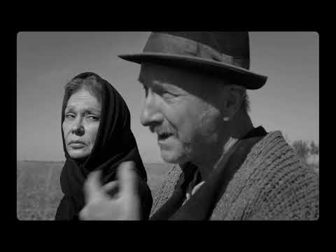 afbeelding Morometii 2