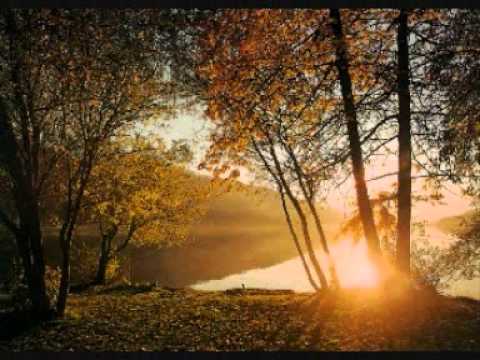download lagu mp3 mp4 Meritage Acoustic Adagio Dreams, download mp3 Meritage Acoustic Adagio Dreams free download mp3, download mp3 Meritage Acoustic Adagio Dreams