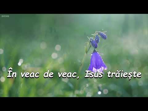 Un cânt frumos | Karaoke AZS (Instrumental)