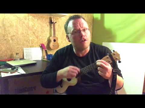 2 Minuten Ukulele - Kinderlieder - Meine Biber haben Fieber