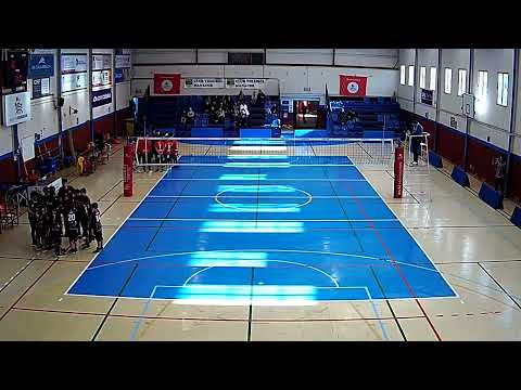 CAIXA COLONYA CVM IM - CV PORTOL