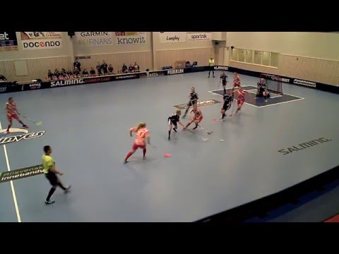 Damer Div. 2 160211 Lindås IBK - Pixbo Wallenstam IBF (3-4) HD Per1