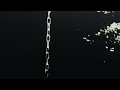 Law Order SVU Season 11 Intro