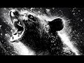 COCAINE BEAR Shorts Cocainebear Upcoming Movie
