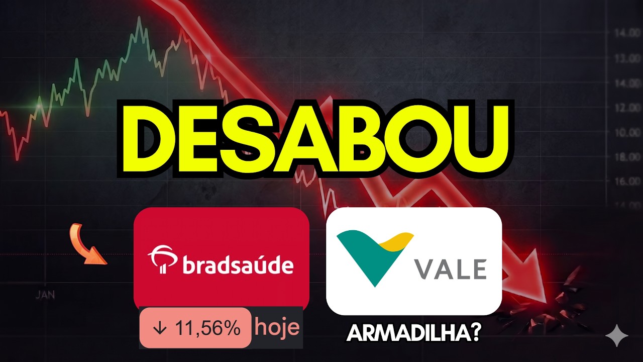 Bradesco Saude (saud3) Desaba 11% e Vale (vale3) Ferro nas Mínimas, vai aguentar?