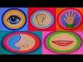 Barney Song The Five Senses Song Five Kinds Of Fun