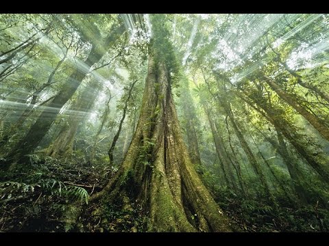 Kalki - Where the Shadows Play ft. Erks Orion prod.by Aquarius Minded