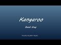 David Gray - Kangaroo (Lyrics) - A New Day At Midnight (2002)