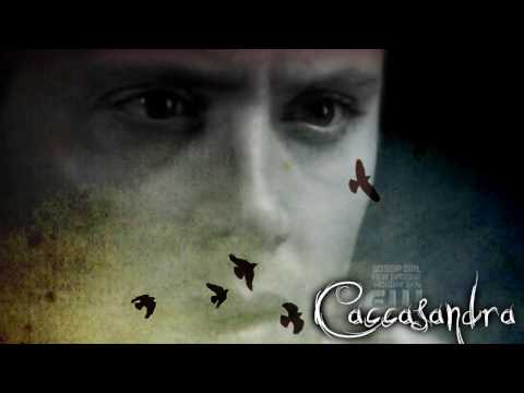 Spn Untitled Preview
