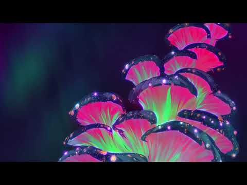 Tom Day & John Pattern - It's All Underneath