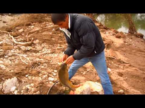 crap (3 kg).Costel ceasca de la jorasti