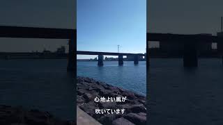 【宮崎】大淀川の川沿いを散歩して癒される動画