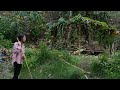 With Willpower And Determination Can Li Xiaoni Overcome The Challenges In This Desolate Place
