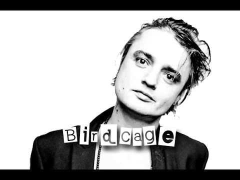 Pete Doherty feat. Suzi Martin - Birdcage (Subtitulado)