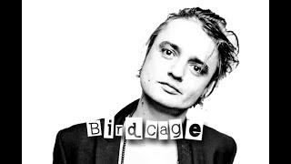 Pete Doherty feat. Suzi Martin - Birdcage (Subtitulado)