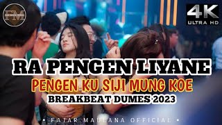 Download lagu DJ RA PENGEN LIYANE PENGENKU SIJI MUNG KOWE II DJ REMIX VIRAL TERBARU BREAKBEAT FULLBASS 2023 mp3