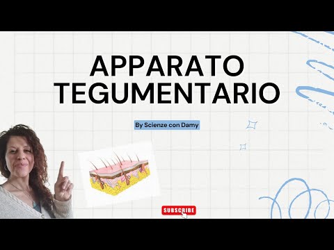 APPARATO TEGUMENTARIO Scienze, scuola media, riassunto pelle, annessi cutanei , ghiandole.