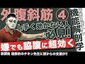 『外腹斜筋筋トレ!この種目なら嫌でも効いちゃう!』CHICKEN HEART TV vol.144座学