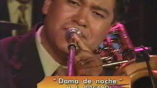 Dama De Noche Lyrics English Translation