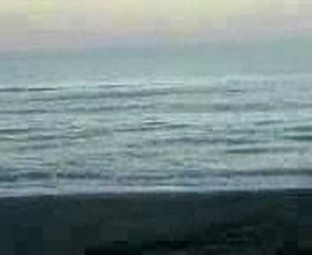 me jovan and robert at the beach testing if we can upload