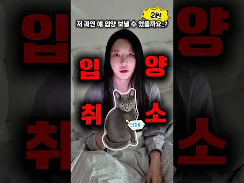 아기길냥이 러블이 입양 취소됐어요ㅠㅠ(2탄) #shorts
