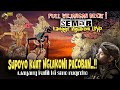 MERINDING PITUTUR JAWA LURAH SEMAR KANGGO NGLAKONI URIP WAYANG KULIT KI DALANG SENO NUGROHO