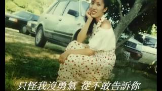 有個傻瓜愛過你