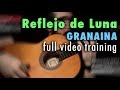 Reflejo de Luna (Granaina) by Paco de Lucia - Full Training - See Description