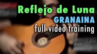 Reflejo de Luna (Granaina) by Paco de Lucia - Full Video Training - Annotations
