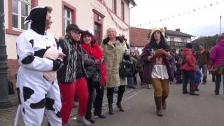 preview picture of video '25.Fasnachtsumzug Bruchweiler-Bärenbach im Dahner Felsenland Germany 4.3.2014 T17'