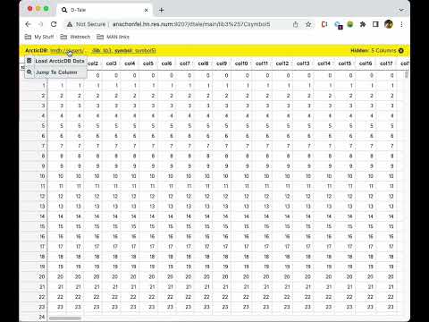 D-Tale - ArcticDB demo