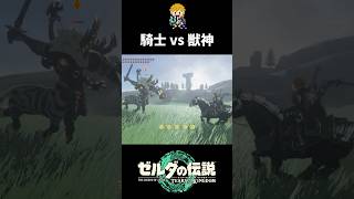 馬を巧みに乗りこなしてライネルを討伐する騎士リンク #shorts  #ゼルダの伝説ティアーズオブザキングダム #ティアキン