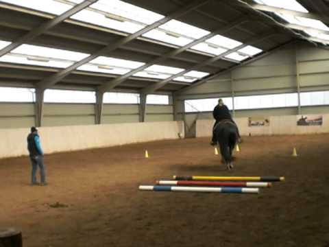 Vibensholm visse og miki på Malin Clinic marts 2011.MOV