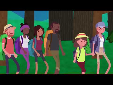 Physical Recovery: The Multifaceted Path to Healing