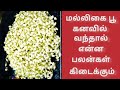 மல்லிகை பூ கனவில் வந்தால் என்ன பலன்க�