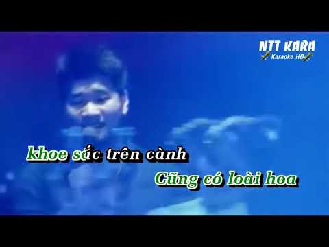 Karaoke Sống Như Những Đóa Hoa   Tạ Quang Thắng full beat