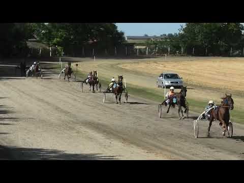 Trka "Udruženje građana "Naša priča"-Srbobran” 10.7.2022. Janis De Sajan - Petar Knekt