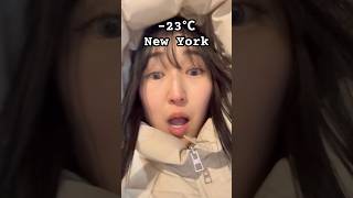 【まじ寒いNew York❄️】 Ridiculously cold #newyork #winter #weatherreport