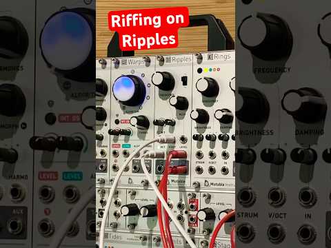 2019 Original Mutable Instruments Ripples V.1  Four-pole filter Bild 3