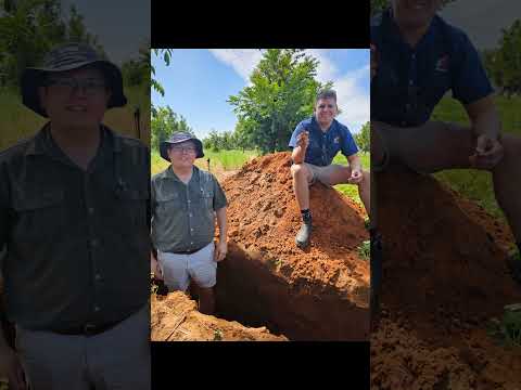 Soil science in action from Kynoch #sustainableagriculture #soilhealth #agriculture