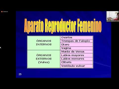 MOR112-B 09-08-21 ANATOMIA Y FISIOLOGIA
