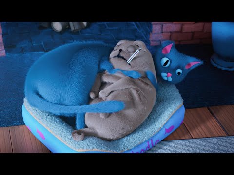 Noodle takes care of his best friend - Noodle and Bun