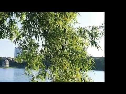 Cơn mưa đầu và tiếng hát em Sheet - Quang Minh